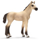 Schleich Akhal-Teke Foal